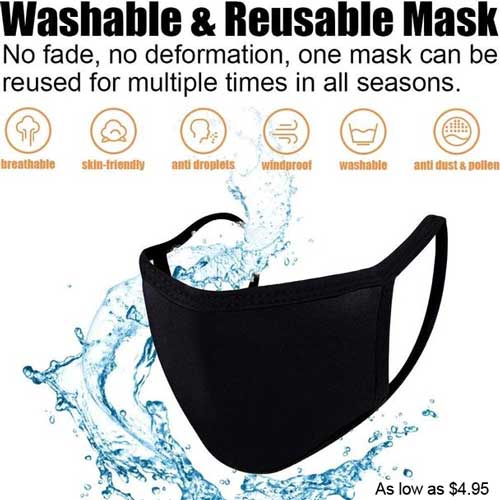 Reusable Masks